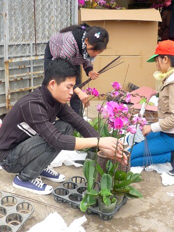 Sổ tay du lịch so tay du lich Sotaydulich Sotay Dulich Khampha Kham Pha Bui Nhon nhip cho hoa Quang An dip cuoi nam