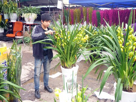 Sổ tay du lịch so tay du lich Sotaydulich Sotay Dulich Khampha Kham Pha Bui Nhon nhip cho hoa Quang An dip cuoi nam