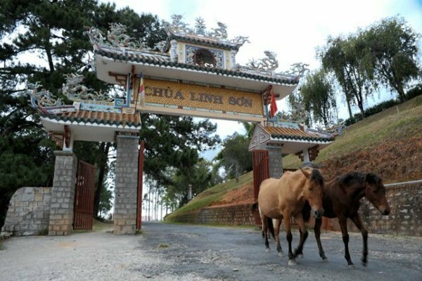 Sổ tay du lịch so tay du lich Sotaydulich Sotay Dulich Khampha Kham Pha Bui Chua Linh Son giua pho nui Da Lat