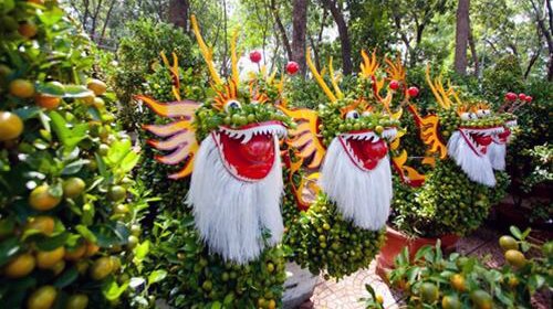 Sổ tay du lịch so tay du lich Sotaydulich Sotay Dulich Khampha Kham Pha Bui Ron rang cho hoa tet o TPHCM Hue va Can Tho
