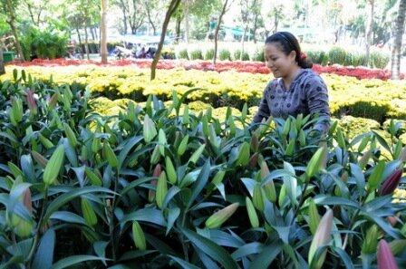 Sổ tay du lịch so tay du lich Sotaydulich Sotay Dulich Khampha Kham Pha Bui Ron rang cho hoa tet o TPHCM Hue va Can Tho