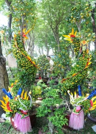 Sổ tay du lịch so tay du lich Sotaydulich Sotay Dulich Khampha Kham Pha Bui Ron rang cho hoa tet o TPHCM Hue va Can Tho