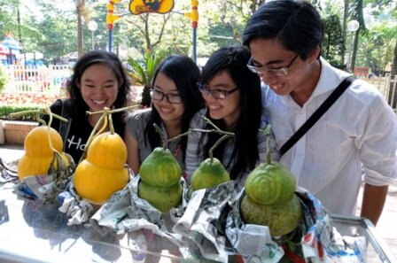 Sổ tay du lịch so tay du lich Sotaydulich Sotay Dulich Khampha Kham Pha Bui Ron rang cho hoa tet o TPHCM Hue va Can Tho