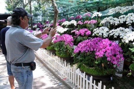Sổ tay du lịch so tay du lich Sotaydulich Sotay Dulich Khampha Kham Pha Bui Ron rang cho hoa tet o TPHCM Hue va Can Tho