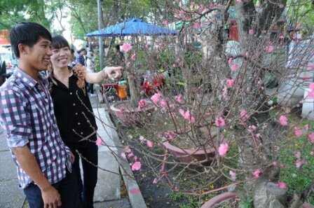 Sổ tay du lịch so tay du lich Sotaydulich Sotay Dulich Khampha Kham Pha Bui Ron rang cho hoa tet o TPHCM Hue va Can Tho