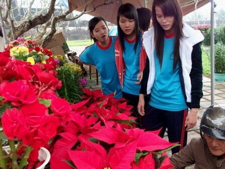 Sổ tay du lịch so tay du lich Sotaydulich Sotay Dulich Khampha Kham Pha Bui Ron rang cho hoa tet o TPHCM Hue va Can Tho