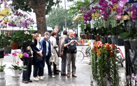 Sổ tay du lịch so tay du lich Sotaydulich Sotay Dulich Khampha Kham Pha Bui Ron rang cho hoa tet o TPHCM Hue va Can Tho