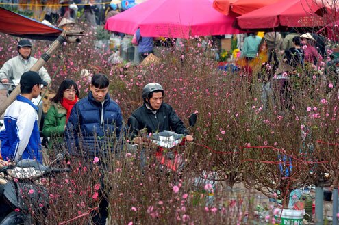 Sổ tay du lịch so tay du lich Sotaydulich Sotay Dulich Khampha Kham Pha Bui Khong khi tet tran ngap cho hoa Ha Noi