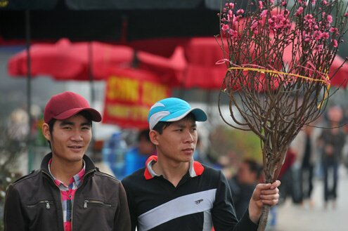 Sổ tay du lịch so tay du lich Sotaydulich Sotay Dulich Khampha Kham Pha Bui Khong khi tet tran ngap cho hoa Ha Noi