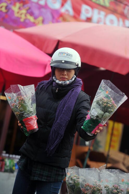Sổ tay du lịch so tay du lich Sotaydulich Sotay Dulich Khampha Kham Pha Bui Khong khi tet tran ngap cho hoa Ha Noi
