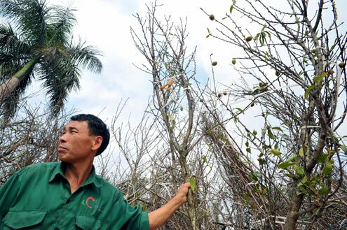 Sổ tay du lịch so tay du lich Sotaydulich Sotay Dulich Khampha Kham Pha Bui Khong khi tet tran ngap cho hoa Ha Noi