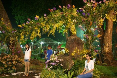 Sổ tay du lịch so tay du lich Sotaydulich Sotay Dulich Khampha Kham Pha Bui Khai hoi hoa Xuan 2012 don nam rong
