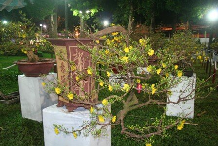 Sổ tay du lịch so tay du lich Sotaydulich Sotay Dulich Khampha Kham Pha Bui Khai hoi hoa Xuan 2012 don nam rong