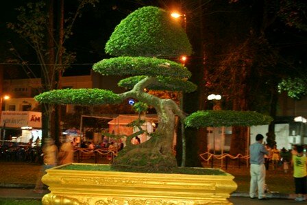 Sổ tay du lịch so tay du lich Sotaydulich Sotay Dulich Khampha Kham Pha Bui Khai hoi hoa Xuan 2012 don nam rong