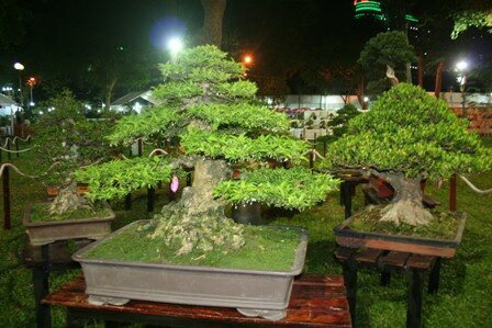 Sổ tay du lịch so tay du lich Sotaydulich Sotay Dulich Khampha Kham Pha Bui Khai hoi hoa Xuan 2012 don nam rong
