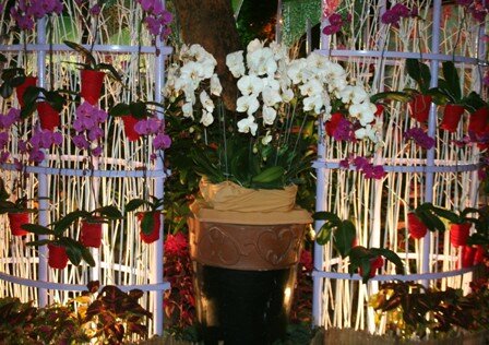 Sổ tay du lịch so tay du lich Sotaydulich Sotay Dulich Khampha Kham Pha Bui Khai hoi hoa Xuan 2012 don nam rong