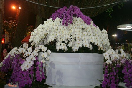 Sổ tay du lịch so tay du lich Sotaydulich Sotay Dulich Khampha Kham Pha Bui Khai hoi hoa Xuan 2012 don nam rong