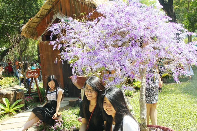 Sổ tay du lịch so tay du lich Sotaydulich Sotay Dulich Khampha Kham Pha Bui Doc dao cac loai hoa o Hoi hoa xuan Tao Dan 2012