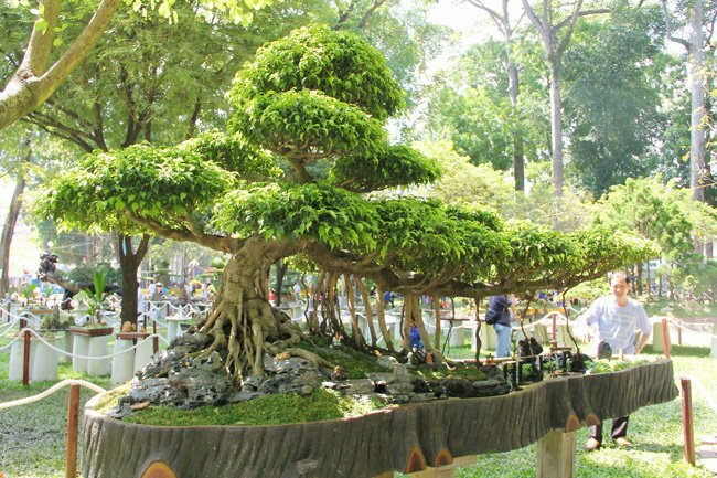 Sổ tay du lịch so tay du lich Sotaydulich Sotay Dulich Khampha Kham Pha Bui Doc dao cac loai hoa o Hoi hoa xuan Tao Dan 2012