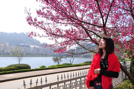 Sổ tay du lịch so tay du lich Sotaydulich Sotay Dulich Khampha Kham Pha Bui Hoa anh dao Nhat Ban khoe sac o Sa Pa