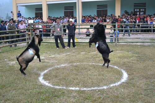 Sổ tay du lịch so tay du lich Sotaydulich Sotay Dulich Khampha Kham Pha Bui Doc dao thi choi de o Hoang Su Phi