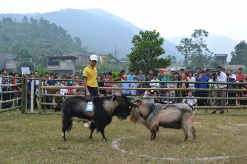 Sổ tay du lịch so tay du lich Sotaydulich Sotay Dulich Khampha Kham Pha Bui Doc dao thi choi de o Hoang Su Phi