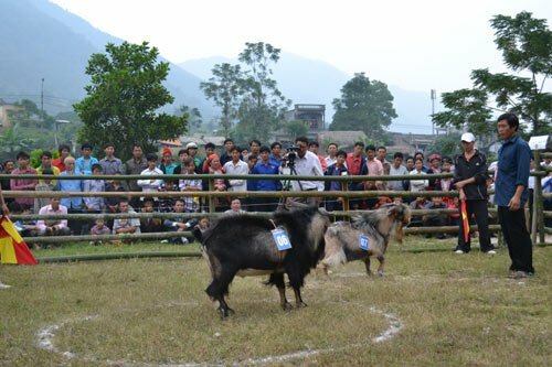 Sổ tay du lịch so tay du lich Sotaydulich Sotay Dulich Khampha Kham Pha Bui Doc dao thi choi de o Hoang Su Phi