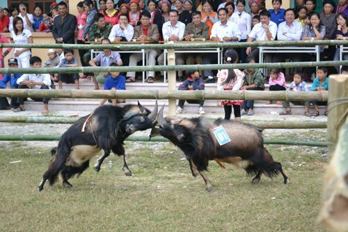 Sổ tay du lịch so tay du lich Sotaydulich Sotay Dulich Khampha Kham Pha Bui Doc dao thi choi de o Hoang Su Phi
