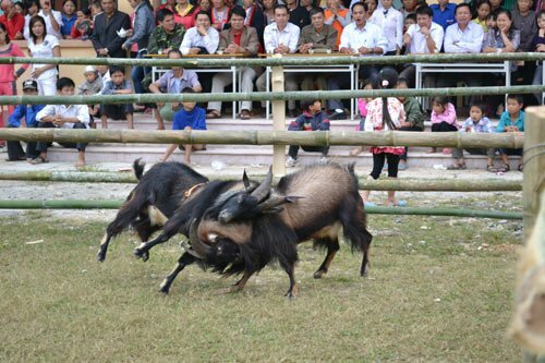 Sổ tay du lịch so tay du lich Sotaydulich Sotay Dulich Khampha Kham Pha Bui Doc dao thi choi de o Hoang Su Phi