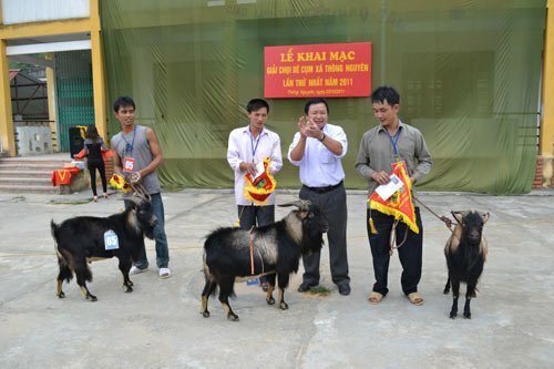 Sổ tay du lịch so tay du lich Sotaydulich Sotay Dulich Khampha Kham Pha Bui Doc dao thi choi de o Hoang Su Phi