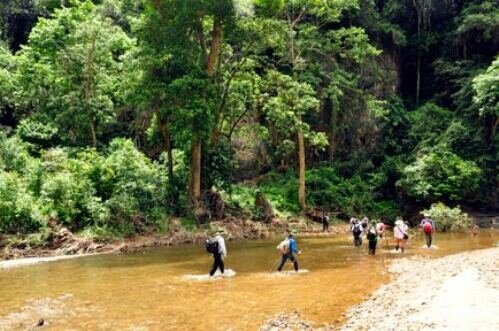 Sổ tay du lịch so tay du lich Sotaydulich Sotay Dulich Khampha Kham Pha Bui Kinh nghiem chong vat khi di rung