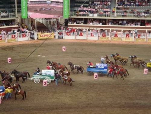 Sổ tay du lịch so tay du lich Sotaydulich Sotay Dulich Khampha Kham Pha Bui Tham Calgary kham pha le hoi cao boi