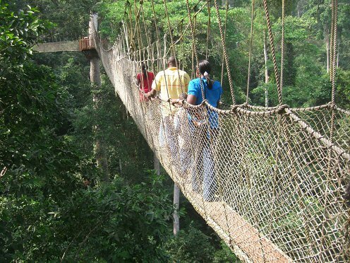 Sổ tay du lịch so tay du lich Sotaydulich Sotay Dulich Khampha Kham Pha Bui Ngam thu hoang o Ghana