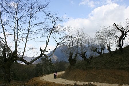 Sổ tay du lịch so tay du lich Sotaydulich Sotay Dulich Khampha Kham Pha Bui Khung canh lang man hap dan o Y Ty