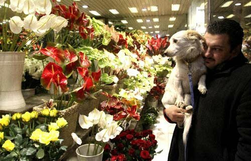 Sổ tay du lịch so tay du lich Sotaydulich Sotay Dulich Khampha Kham Pha Bui Khong khi Valentine ron rang khap the gioi