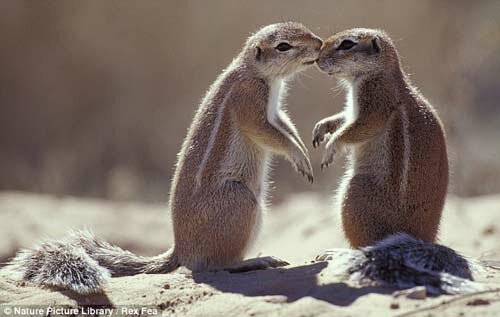 Sổ tay du lịch so tay du lich Sotaydulich Sotay Dulich Khampha Kham Pha Bui Khong khi Valentine ron rang khap the gioi