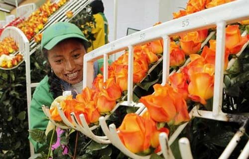 Sổ tay du lịch so tay du lich Sotaydulich Sotay Dulich Khampha Kham Pha Bui Khong khi Valentine ron rang khap the gioi