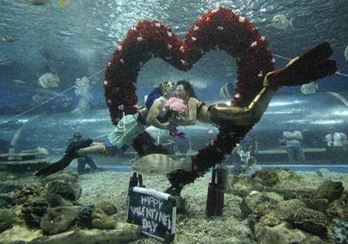 Sổ tay du lịch so tay du lich Sotaydulich Sotay Dulich Khampha Kham Pha Bui Khong khi Valentine ron rang khap the gioi