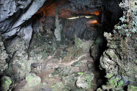 Sổ tay du lịch so tay du lich Sotaydulich Sotay Dulich Khampha Kham Pha Bui Hoang sơ Hang Đầu Gỗ