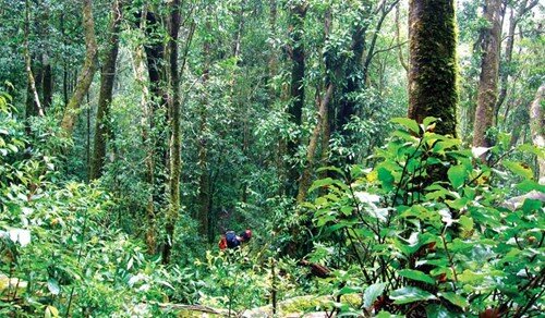 Sổ tay du lịch so tay du lich Sotaydulich Sotay Dulich Khampha Kham Pha Bui Den voi Vuon quoc gia Biduop Nui Ba