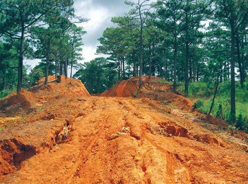 Sổ tay du lịch so tay du lich Sotaydulich Sotay Dulich Khampha Kham Pha Bui Den voi Vuon quoc gia Biduop Nui Ba