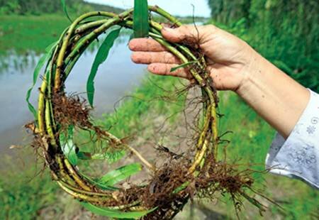  Sổ tay du lịch so tay du lich Sotaydulich Sotay Dulich Khampha Kham Pha Bui Dot choai dac san dan da