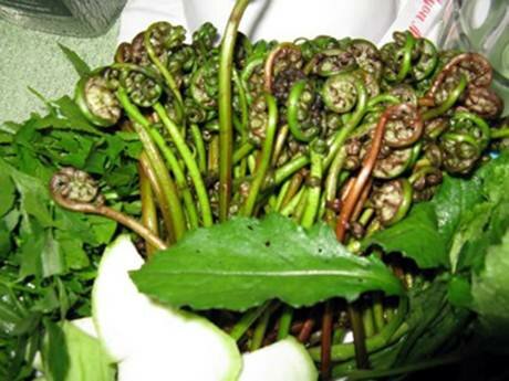  Sổ tay du lịch so tay du lich Sotaydulich Sotay Dulich Khampha Kham Pha Bui Dot choai dac san dan da