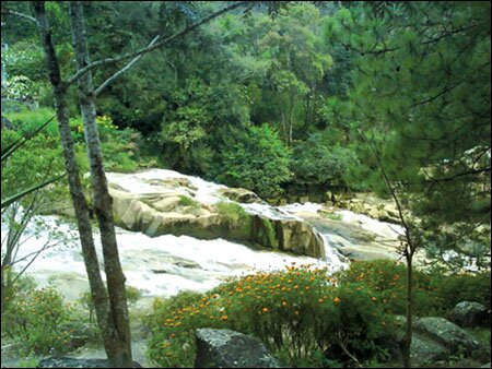 Sổ tay du lịch so tay du lich Sotaydulich Sotay Dulich Khampha Kham Pha Bui Diem den hoang so o Viet Nam ban nen ghe tham