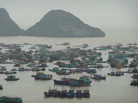 Sổ tay du lịch so tay du lich Sotaydulich Sotay Dulich Khampha Kham Pha Bui Ve dep lang chai tren dao Cat Ba