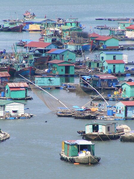 Sổ tay du lịch so tay du lich Sotaydulich Sotay Dulich Khampha Kham Pha Bui Ve dep lang chai tren dao Cat Ba