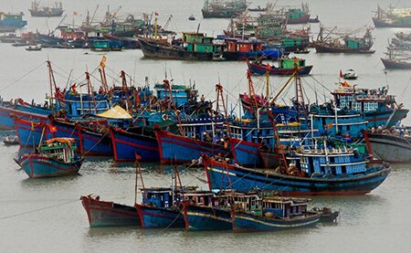 Sổ tay du lịch so tay du lich Sotaydulich Sotay Dulich Khampha Kham Pha Bui Ve dep lang chai tren dao Cat Ba