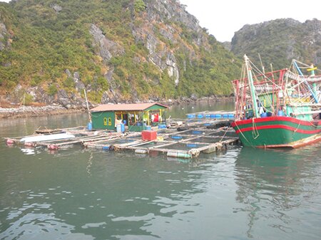 Sổ tay du lịch so tay du lich Sotaydulich Sotay Dulich Khampha Kham Pha Bui Ve dep lang chai tren dao Cat Ba