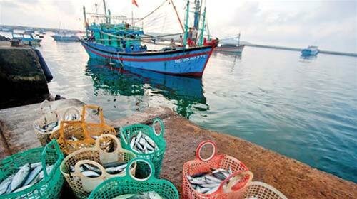 Sổ tay du lịch so tay du lich Sotaydulich Sotay Dulich Khampha Kham Pha Bui Hoang so dao phu quy