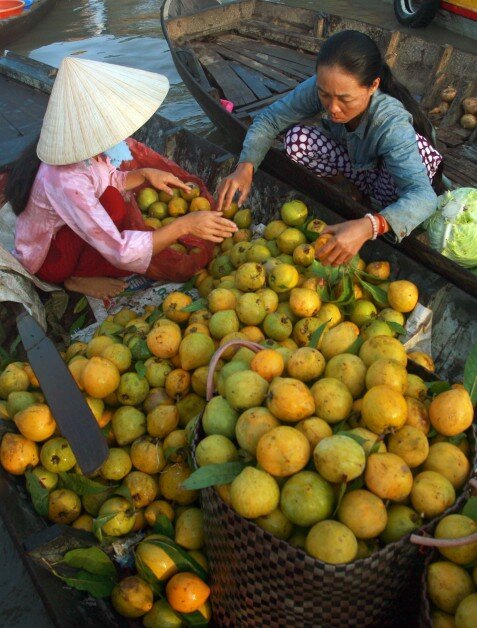 Sổ tay du lịch so tay du lich Sotaydulich Sotay Dulich Khampha Kham Pha Bui Cho noi Phung Hiep niu chan du khach